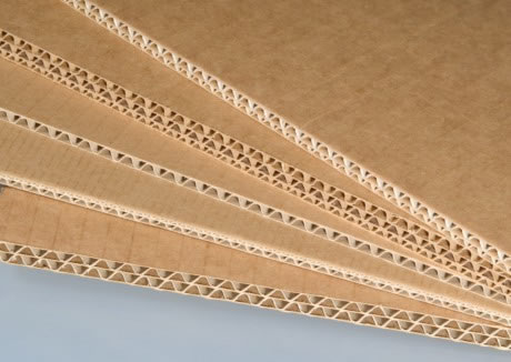 �X�Ĺ����_